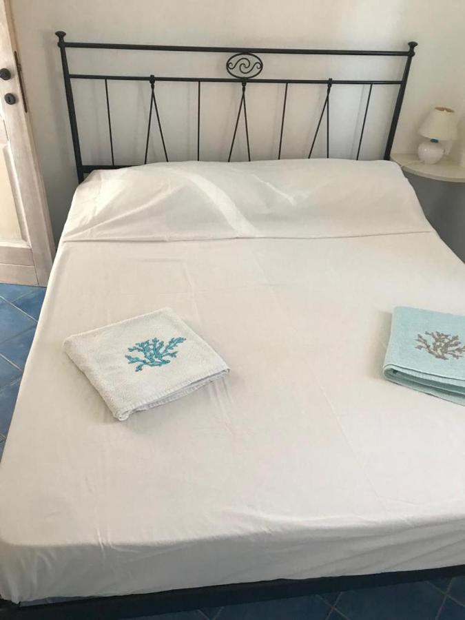 Tiffany Palau Bed & Breakfast Екстериор снимка
