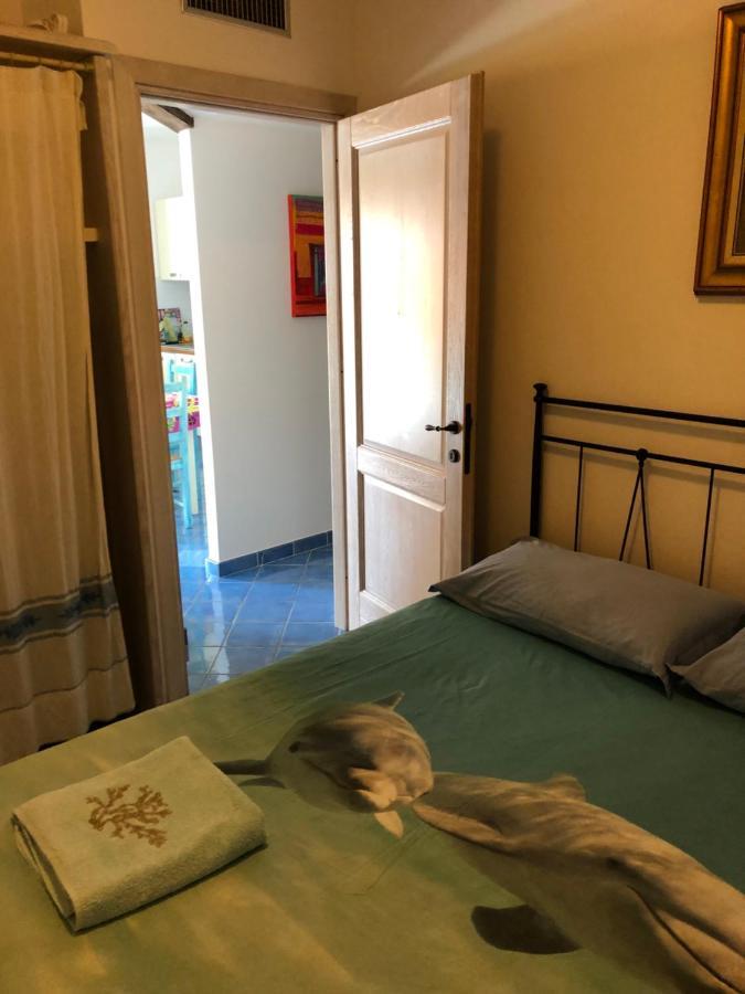 Tiffany Palau Bed & Breakfast Екстериор снимка