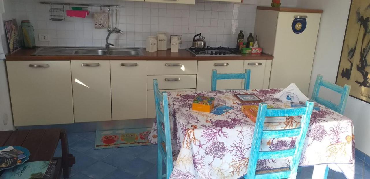 Tiffany Palau Bed & Breakfast Екстериор снимка