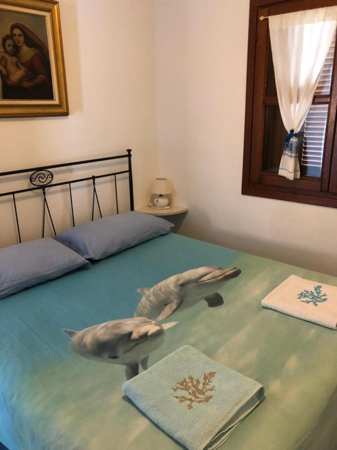 Tiffany Palau Bed & Breakfast Екстериор снимка